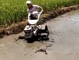 水田耕地效果